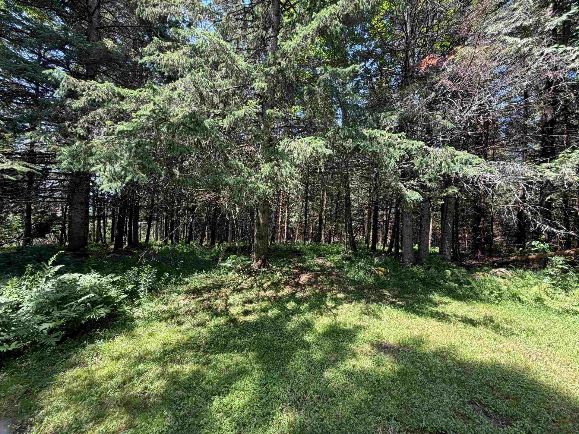 1090 Center Road Albany VT 05845