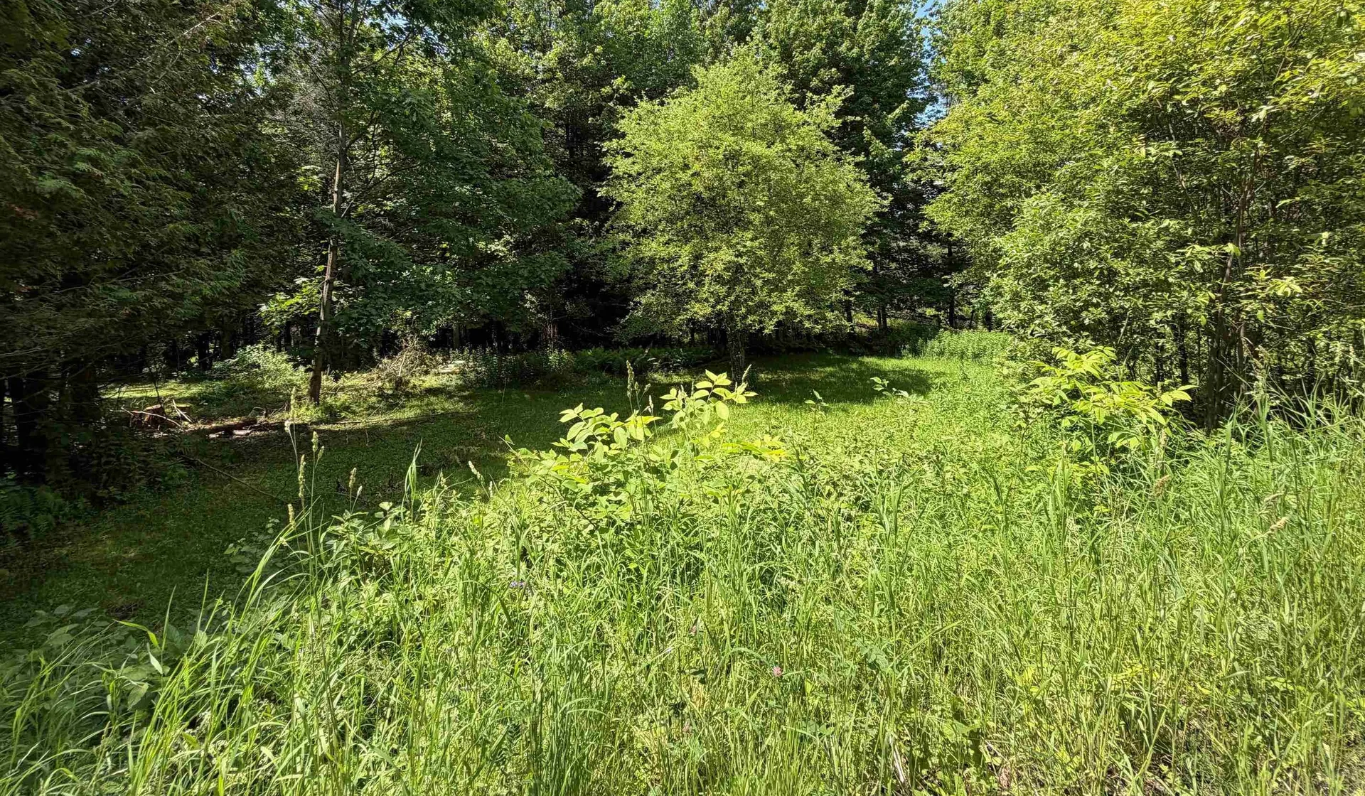 1090 Center Road Albany VT 05845