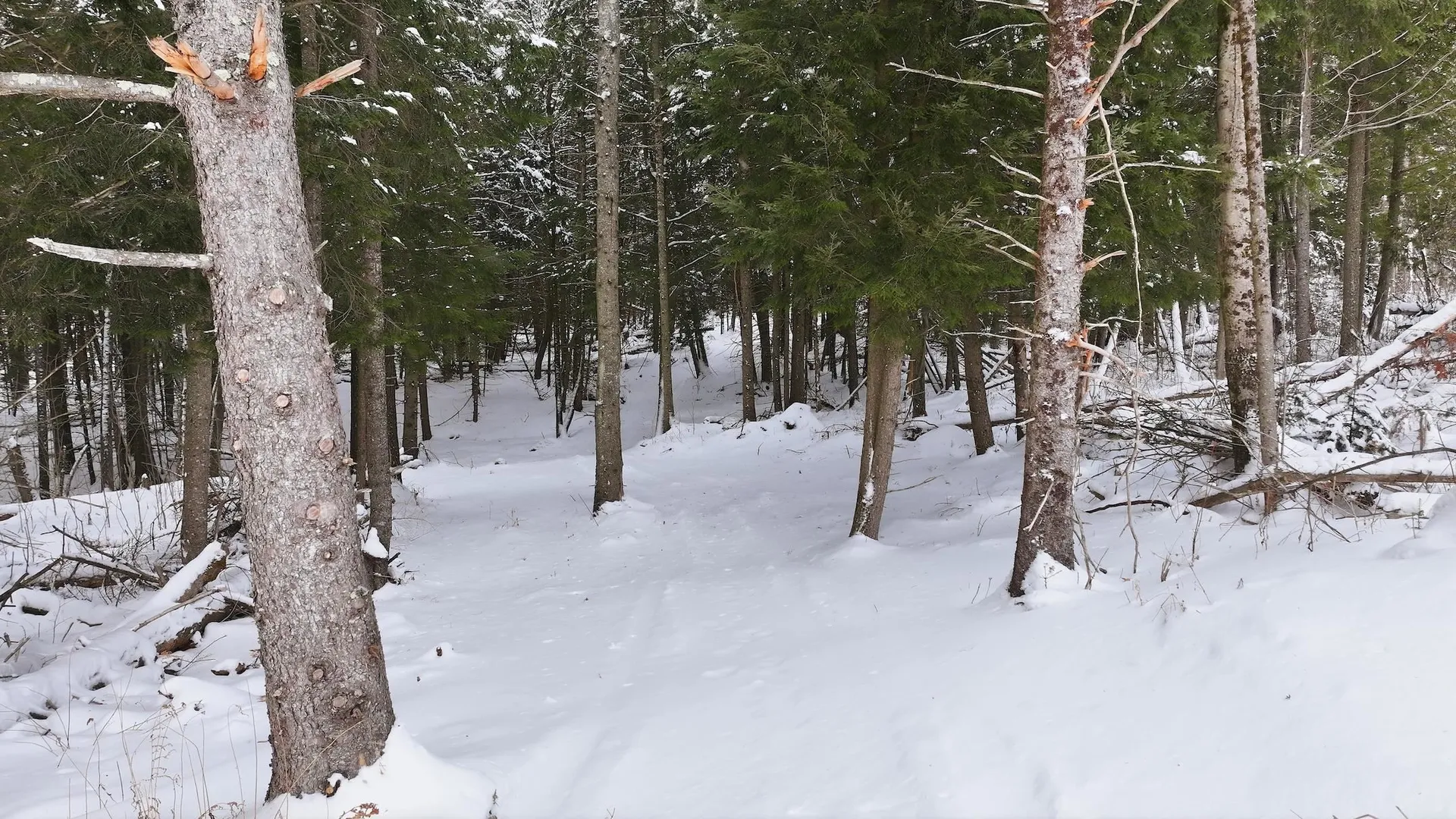 1090 Center Road Albany VT 05845