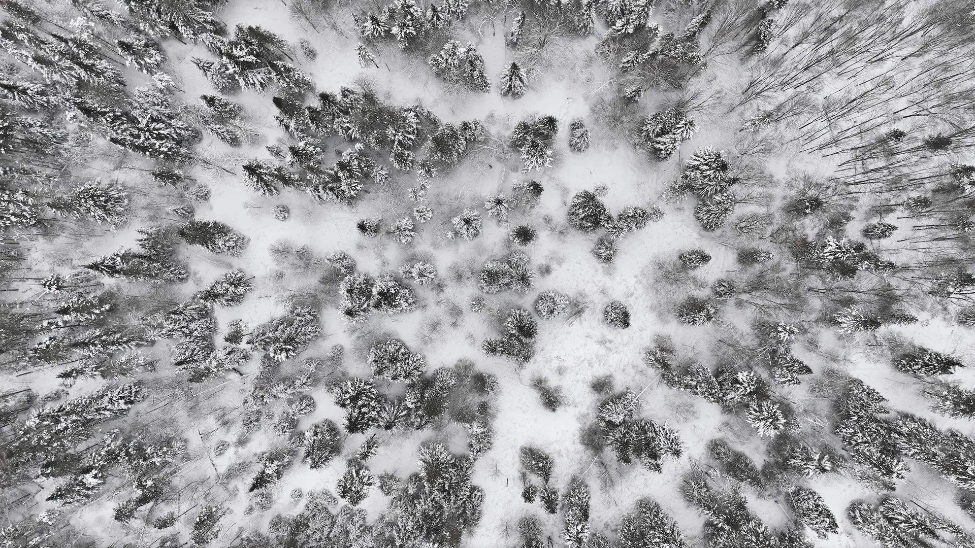 1090 Center Road Albany VT 05845