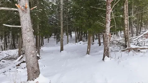 1090 Center Road Albany VT 05845