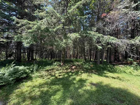 1090 Center Road Albany VT 05845