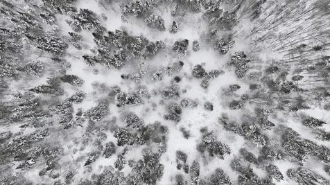 1090 Center Road Albany VT 05845