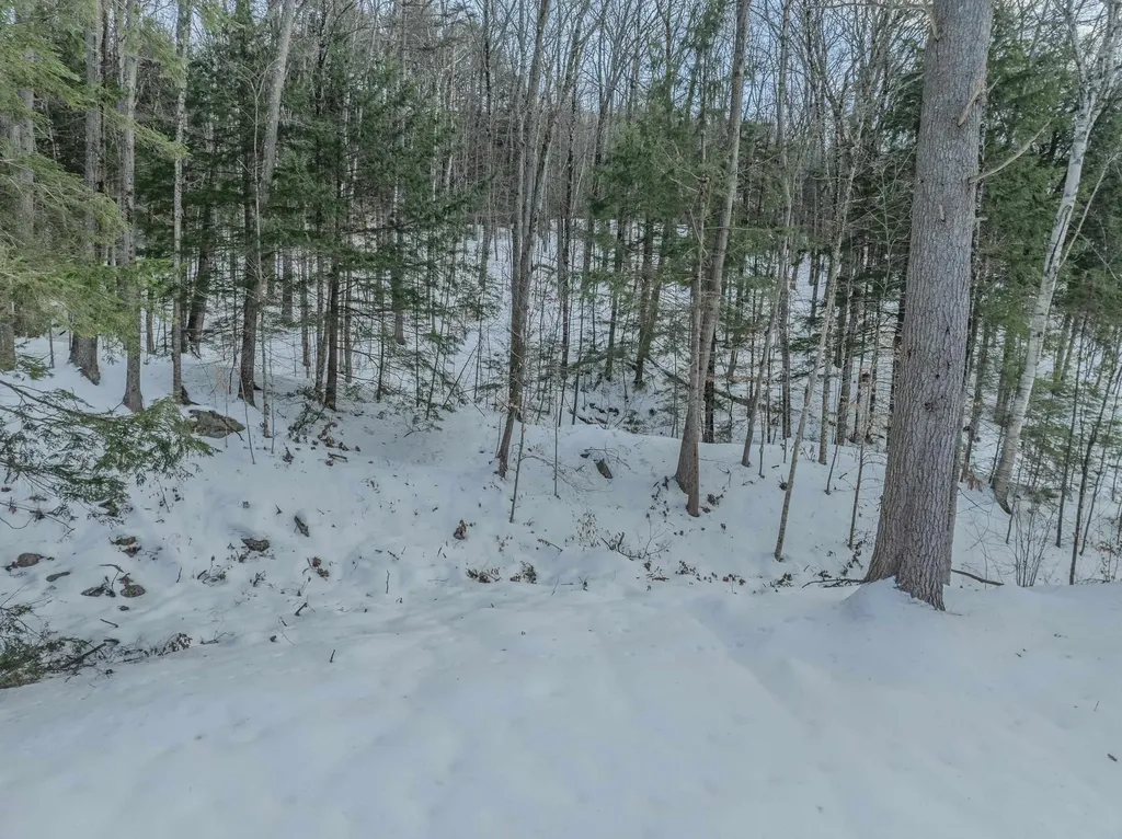 00 Route 175 Thornton NH 03285