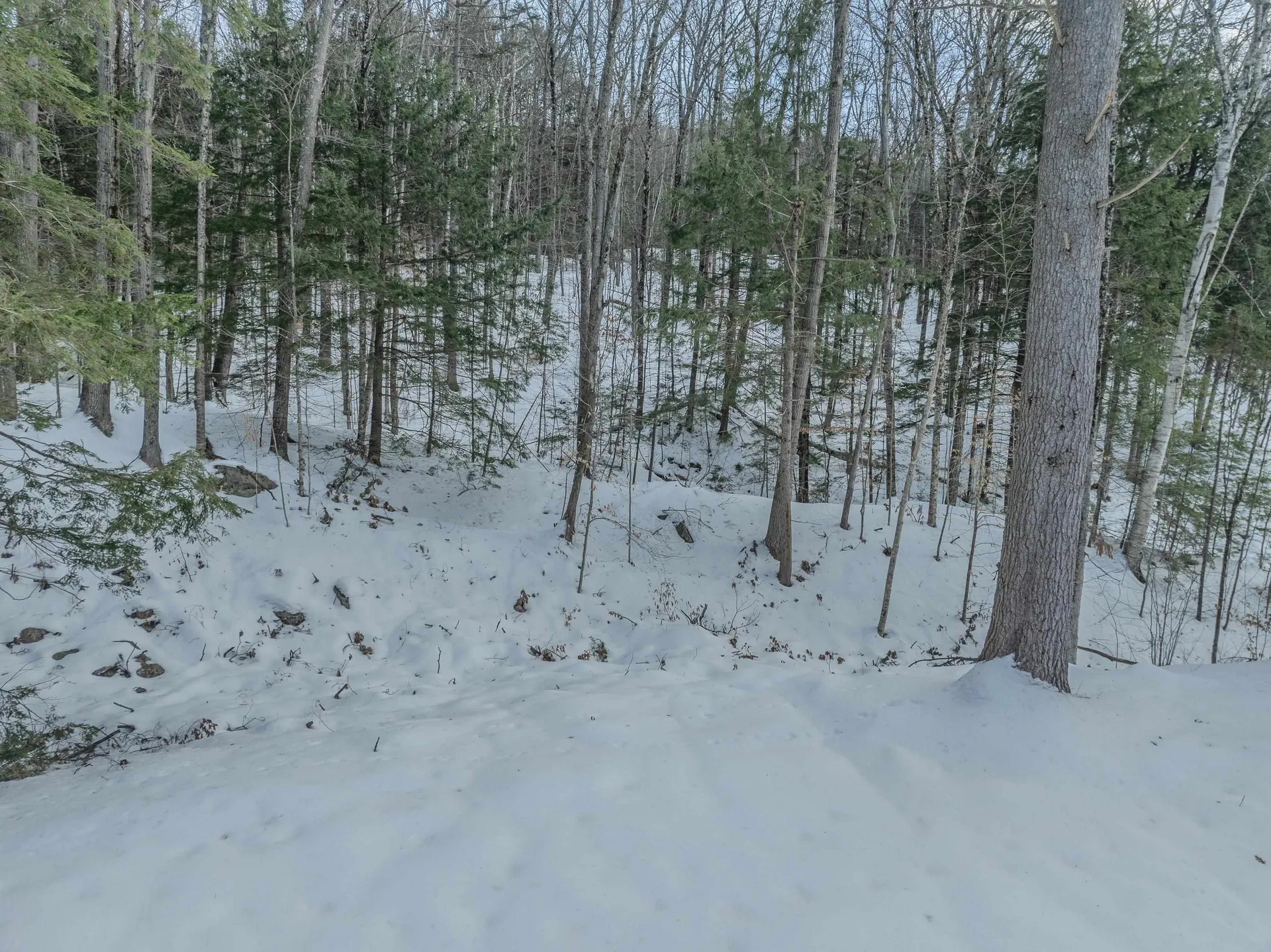 00 Route 175 Thornton NH 03285