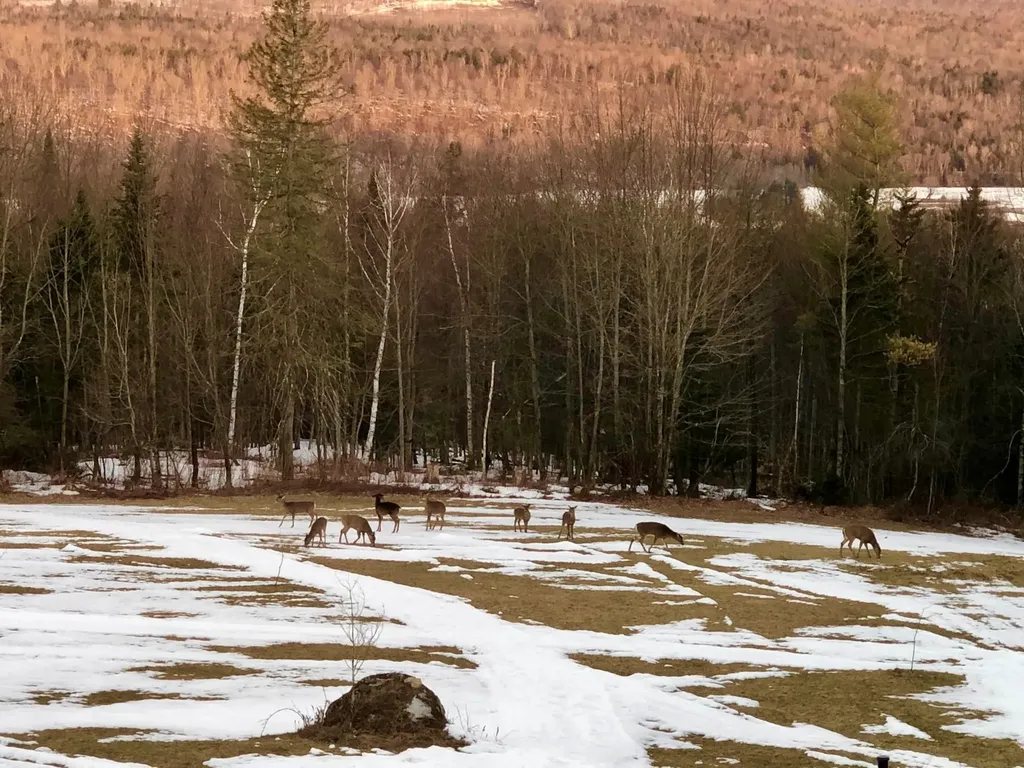 1090 Center Road Albany VT 05820