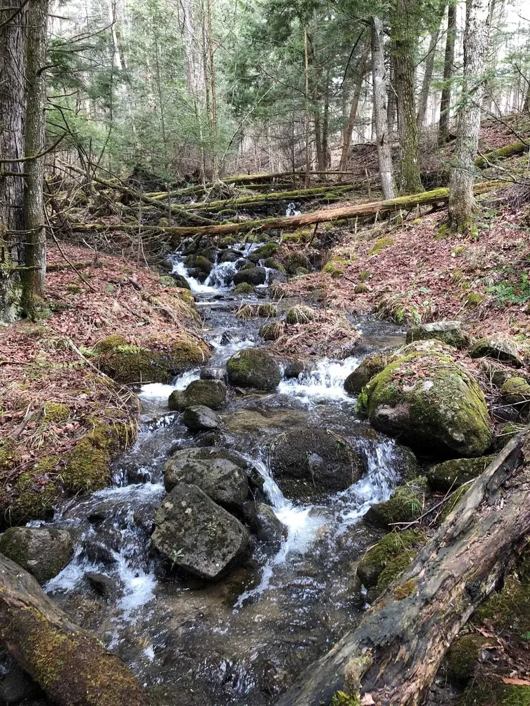 1090 Center Road Albany VT 05820