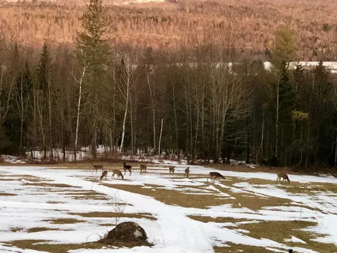 1090 Center Road Albany VT 05820