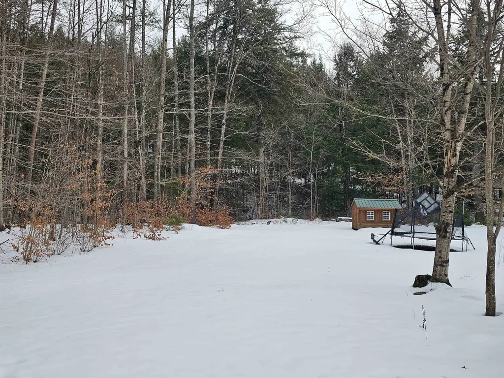 756 Turkey Mountain Road Jamaica VT 05343