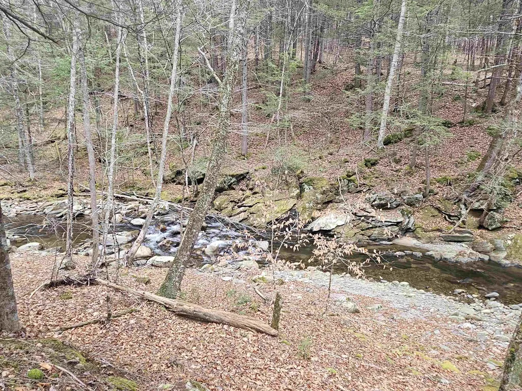 756 Turkey Mountain Road Jamaica VT 05343