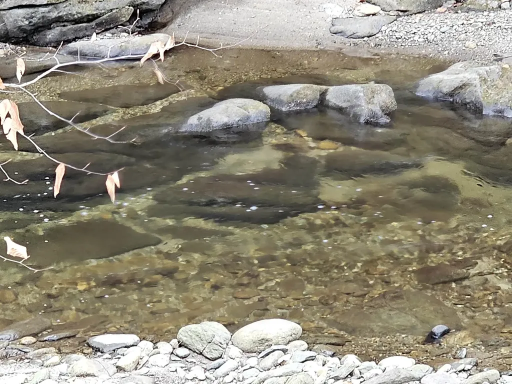 756 Turkey Mountain Road Jamaica VT 05343