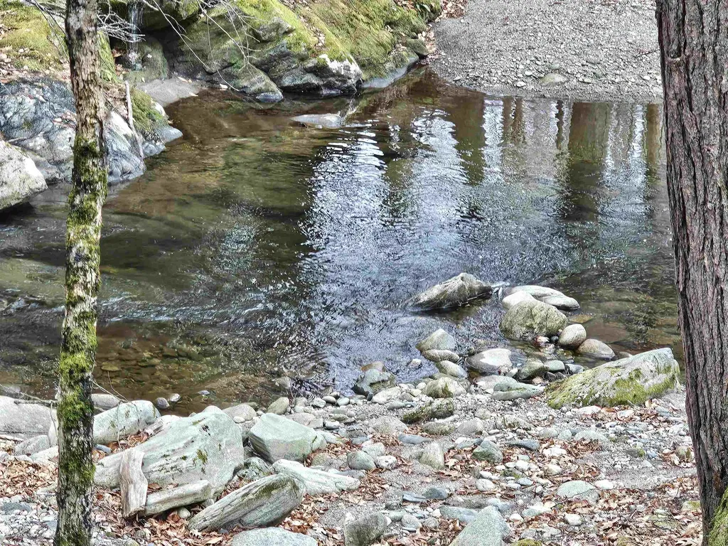 756 Turkey Mountain Road Jamaica VT 05343