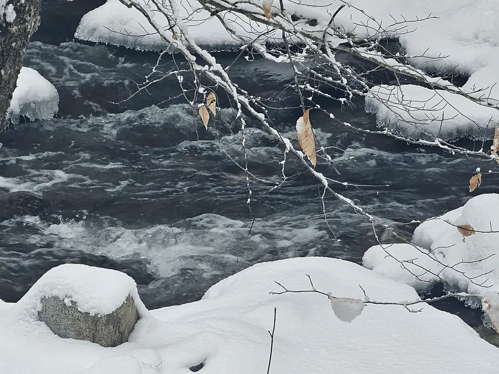 756 Turkey Mountain Road Jamaica VT 05343