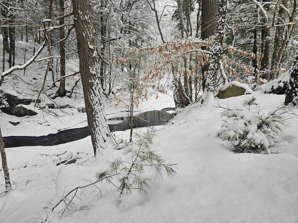 756 Turkey Mountain Road Jamaica VT 05343