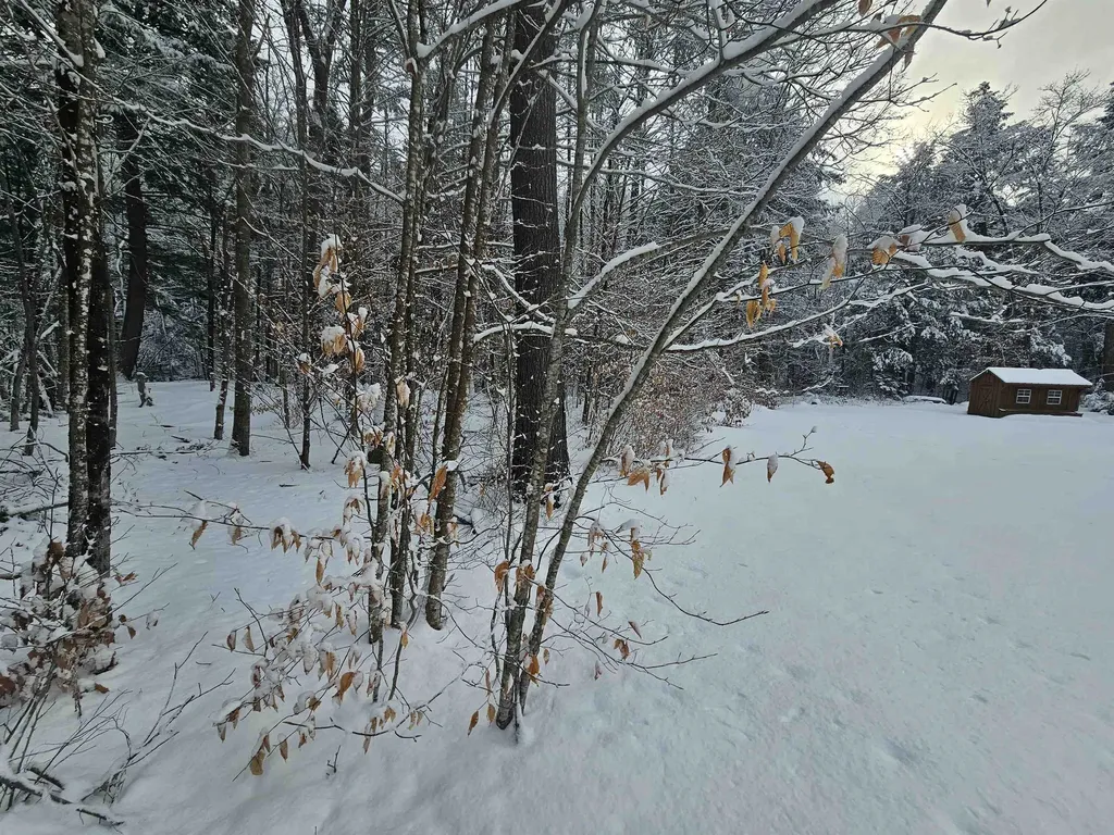 756 Turkey Mountain Road Jamaica VT 05343