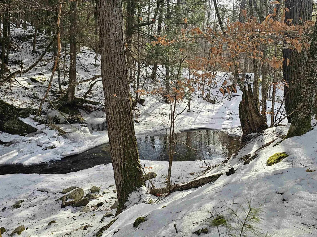 756 Turkey Mountain Road Jamaica VT 05343