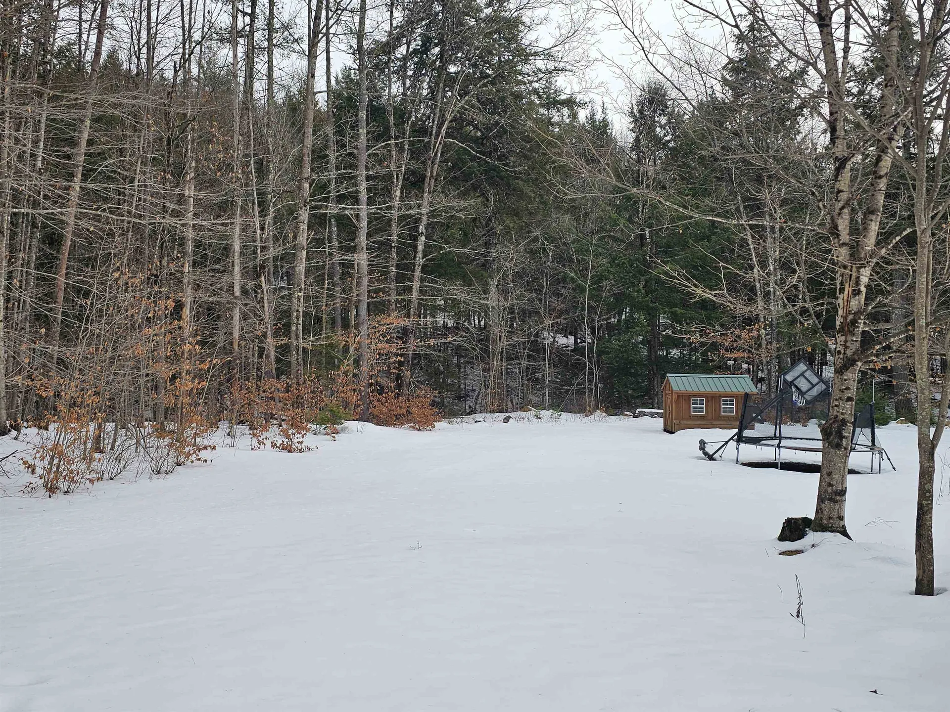 756 Turkey Mountain Road Jamaica VT 05343