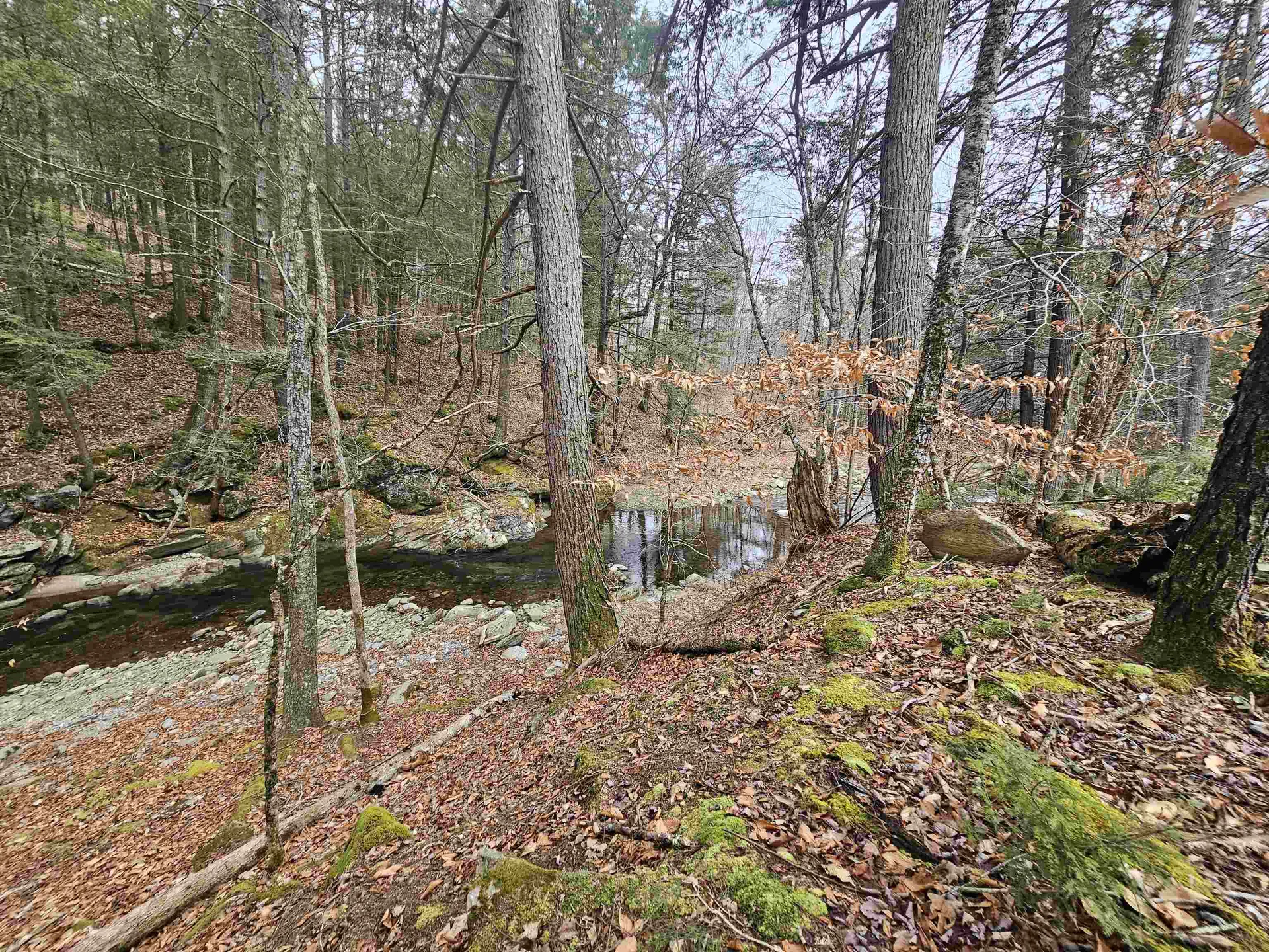 756 Turkey Mountain Road Jamaica VT 05343