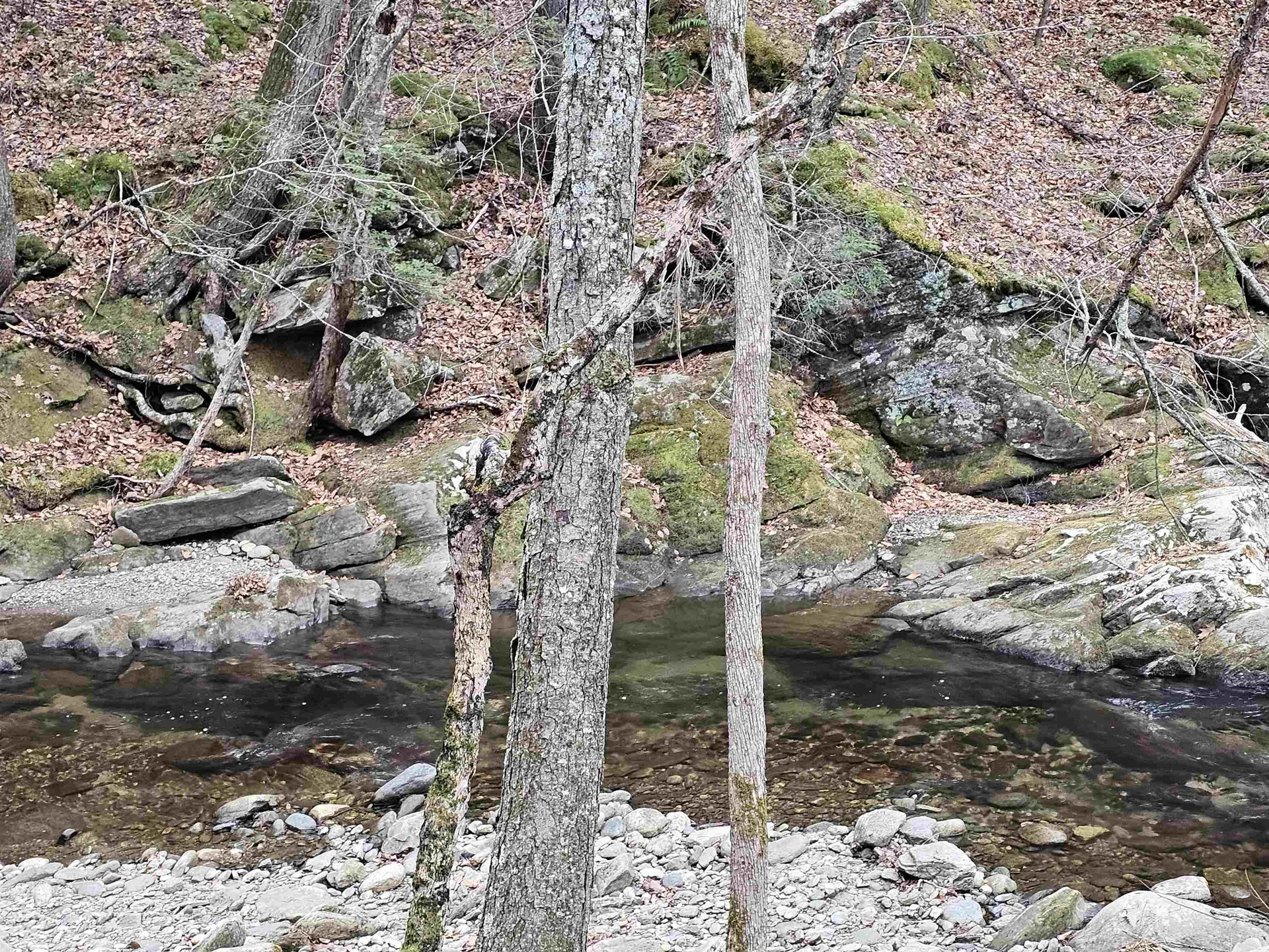 756 Turkey Mountain Road Jamaica VT 05343