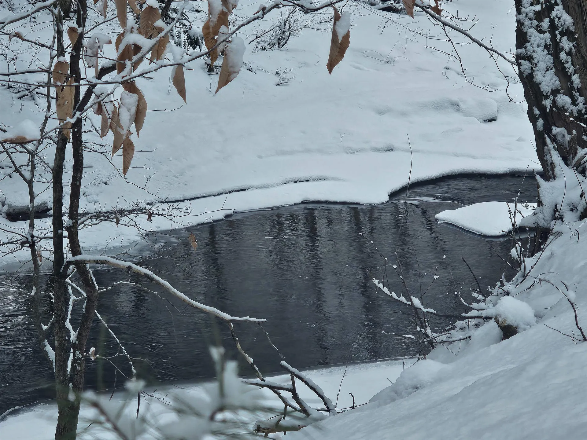 756 Turkey Mountain Road Jamaica VT 05343