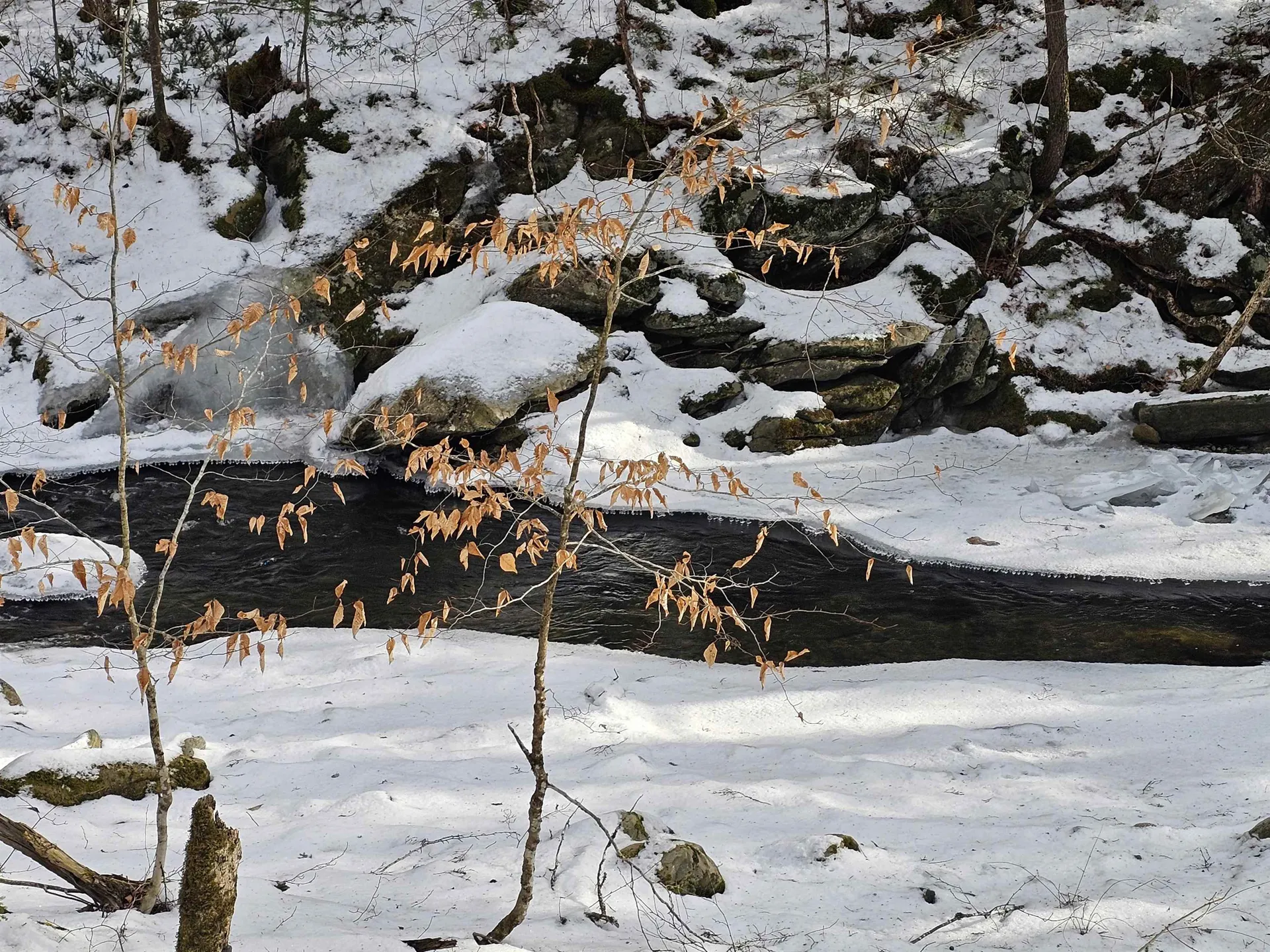 756 Turkey Mountain Road Jamaica VT 05343