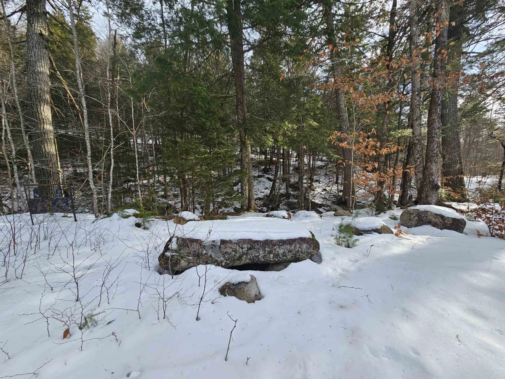 756 Turkey Mountain Road Jamaica VT 05343