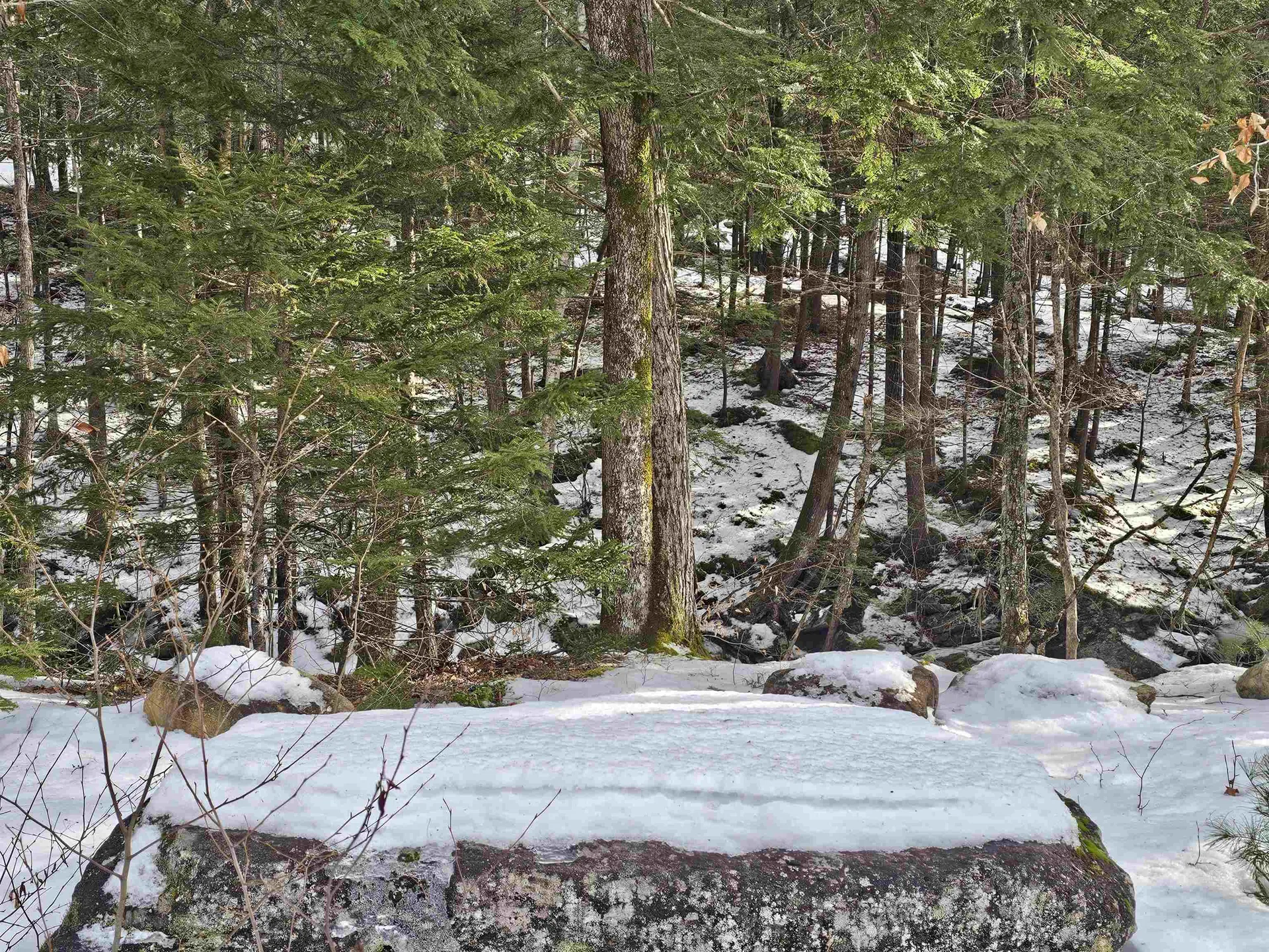 756 Turkey Mountain Road Jamaica VT 05343