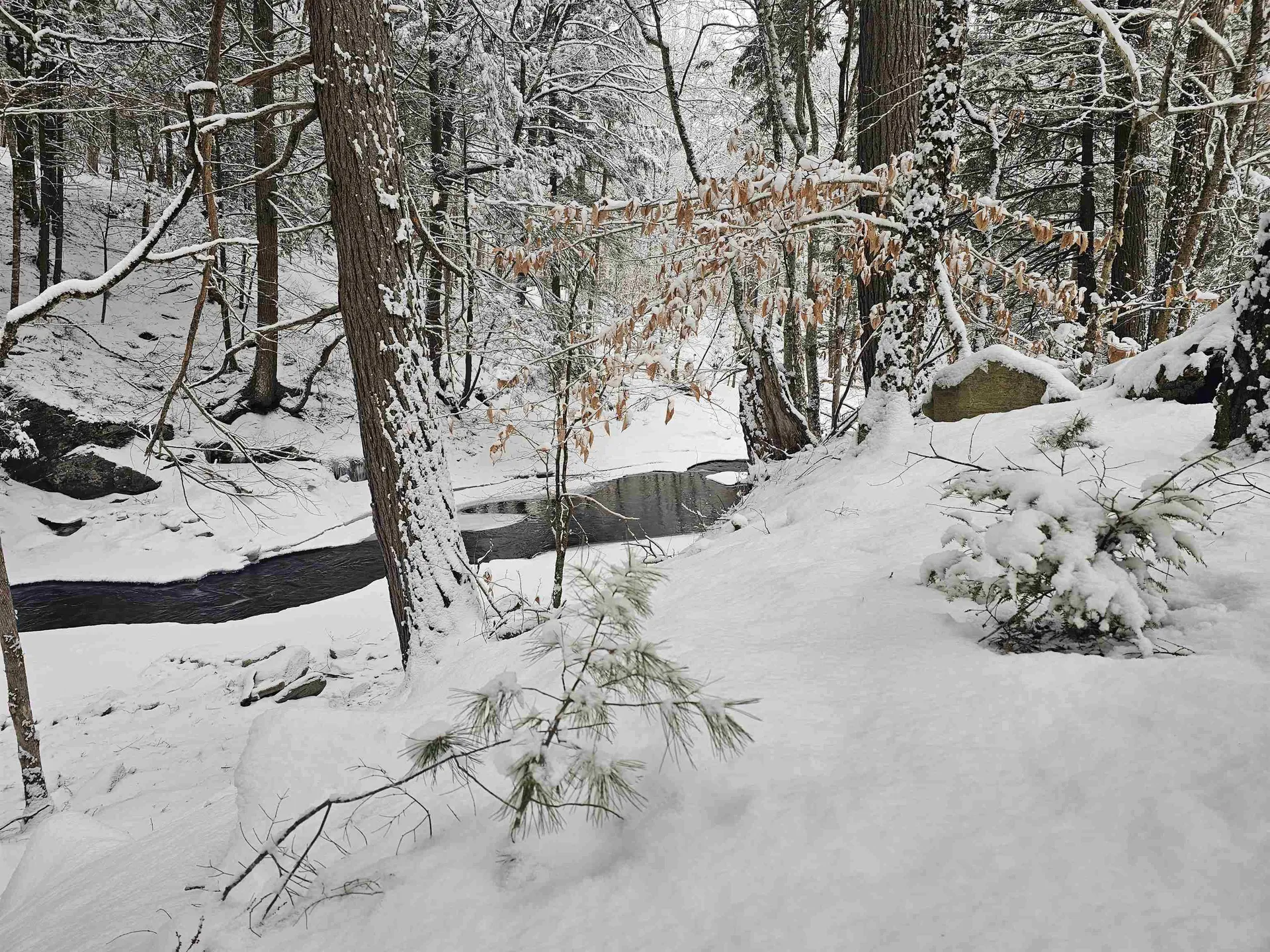 756 Turkey Mountain Road Jamaica VT 05343