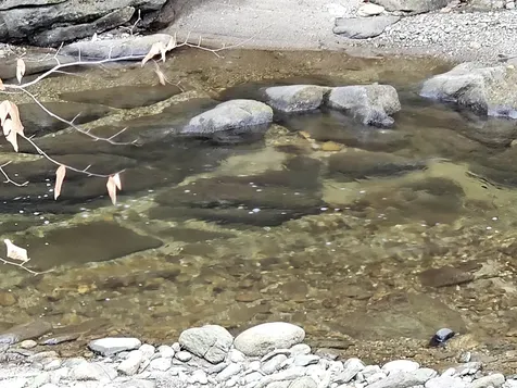 756 Turkey Mountain Road Jamaica VT 05343