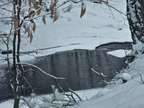 756 Turkey Mountain Road Jamaica VT 05343