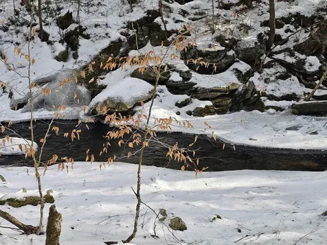 756 Turkey Mountain Road Jamaica VT 05343