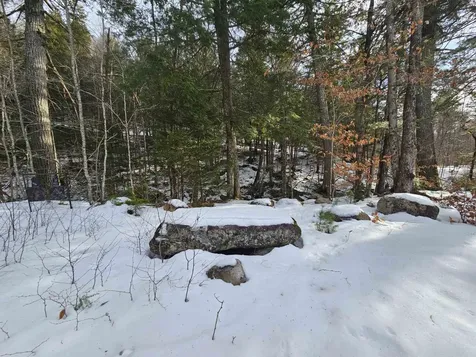 756 Turkey Mountain Road Jamaica VT 05343