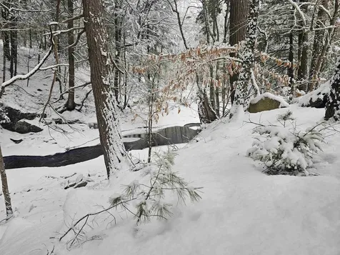 756 Turkey Mountain Road Jamaica VT 05343