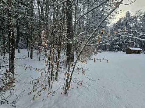 756 Turkey Mountain Road Jamaica VT 05343