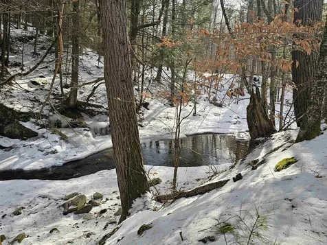 756 Turkey Mountain Road Jamaica VT 05343