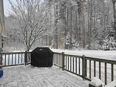 756 Turkey Mountain Road Jamaica VT 05343