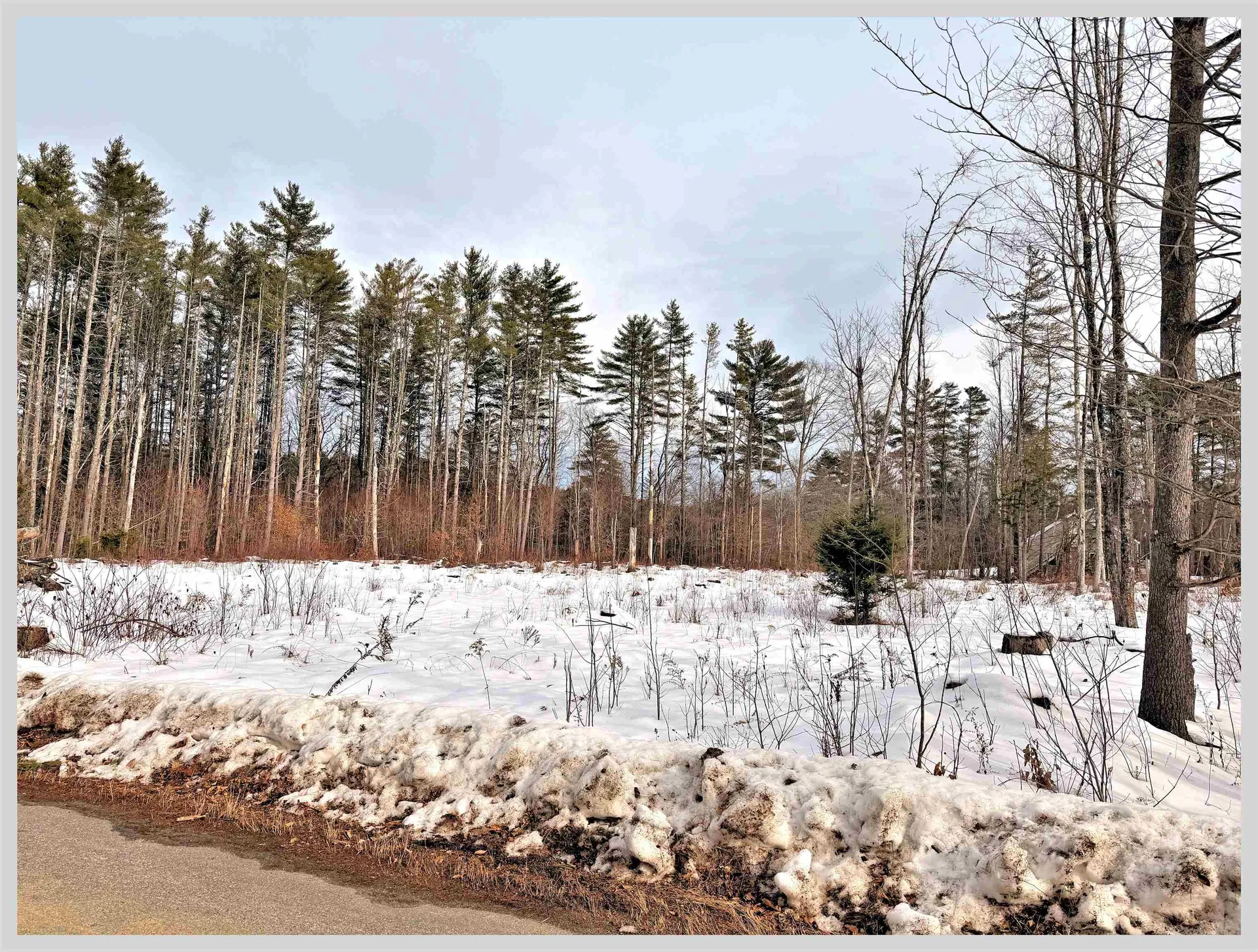 7 Country Lane Hebron NH 03241