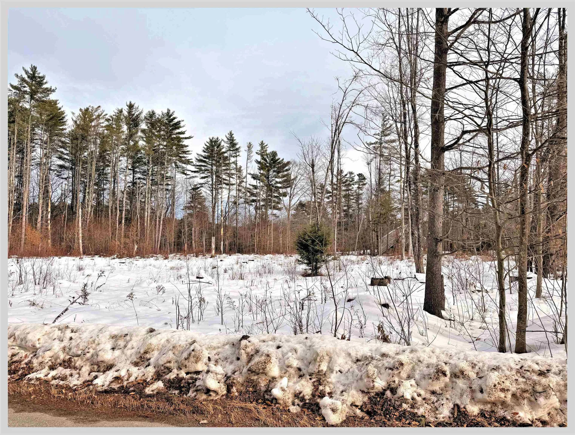 7 Country Lane Hebron NH 03241