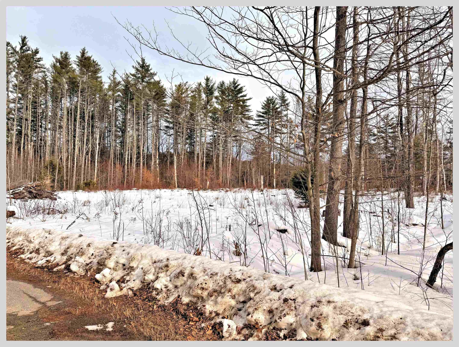 Lot #7 Country Lane Hebron NH 03241