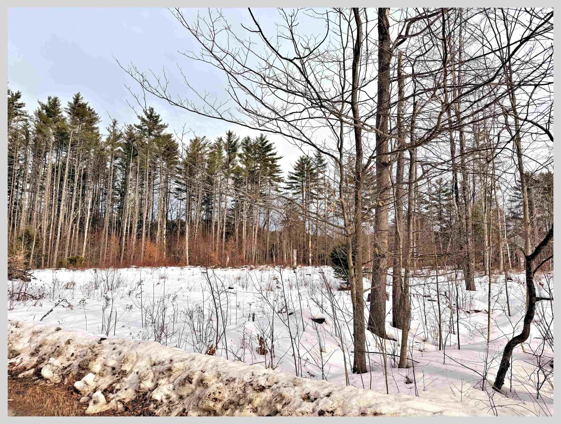 Lot #7 Country Lane Hebron NH 03241