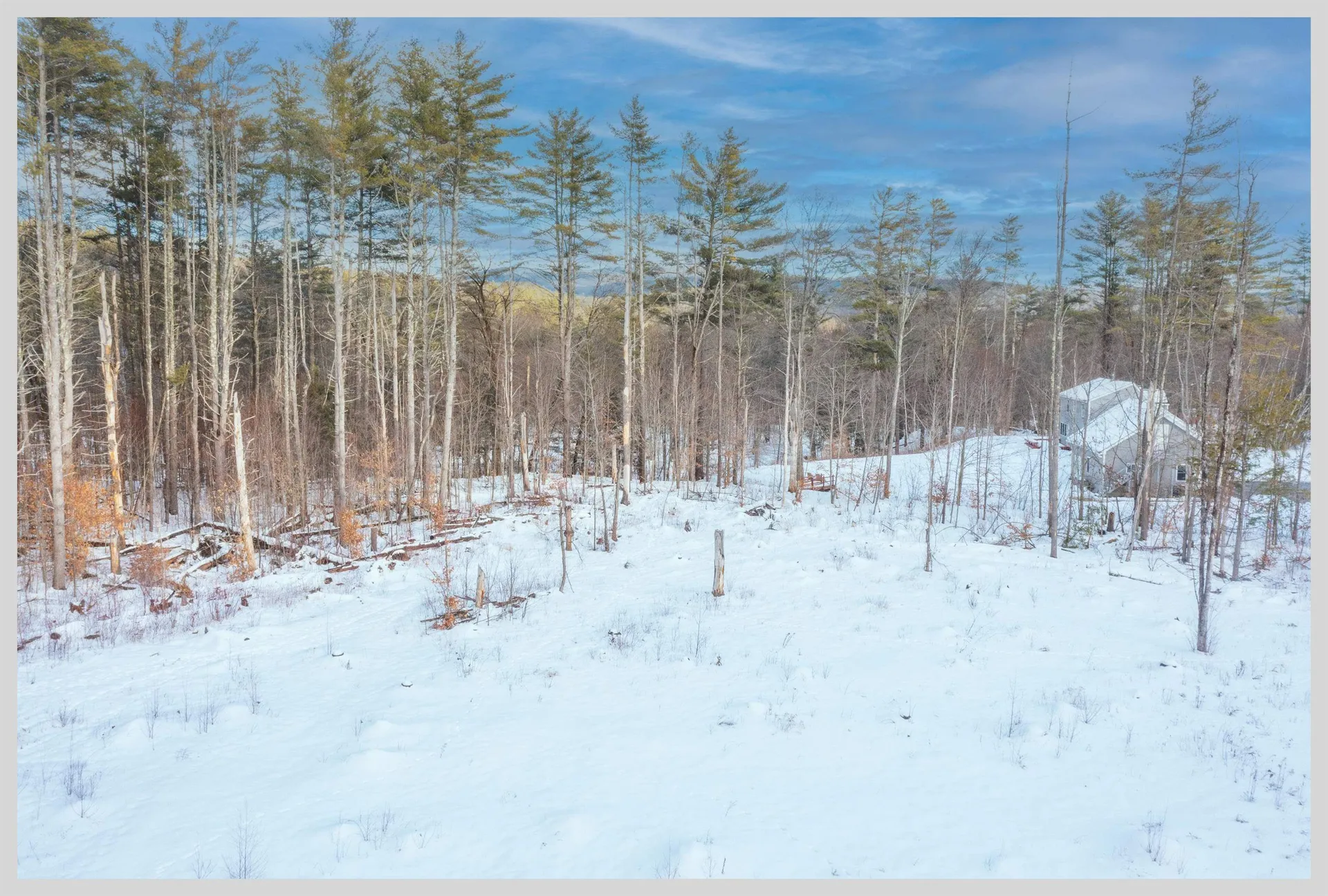 Lot #7 Country Lane Hebron NH 03241