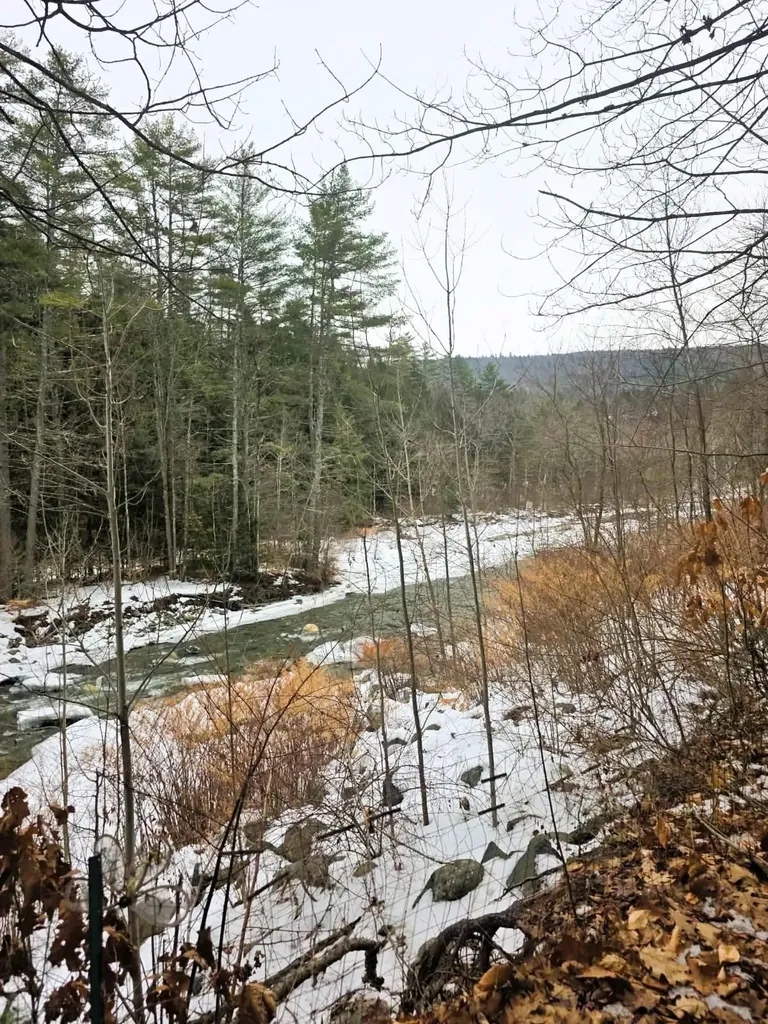 132 Duke Road Newfane VT 05362