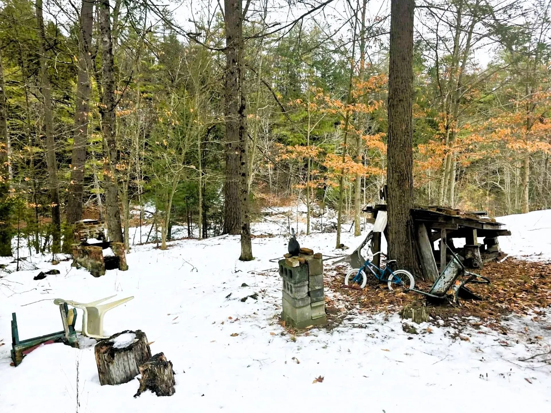 132 Duke Road Newfane VT 05362