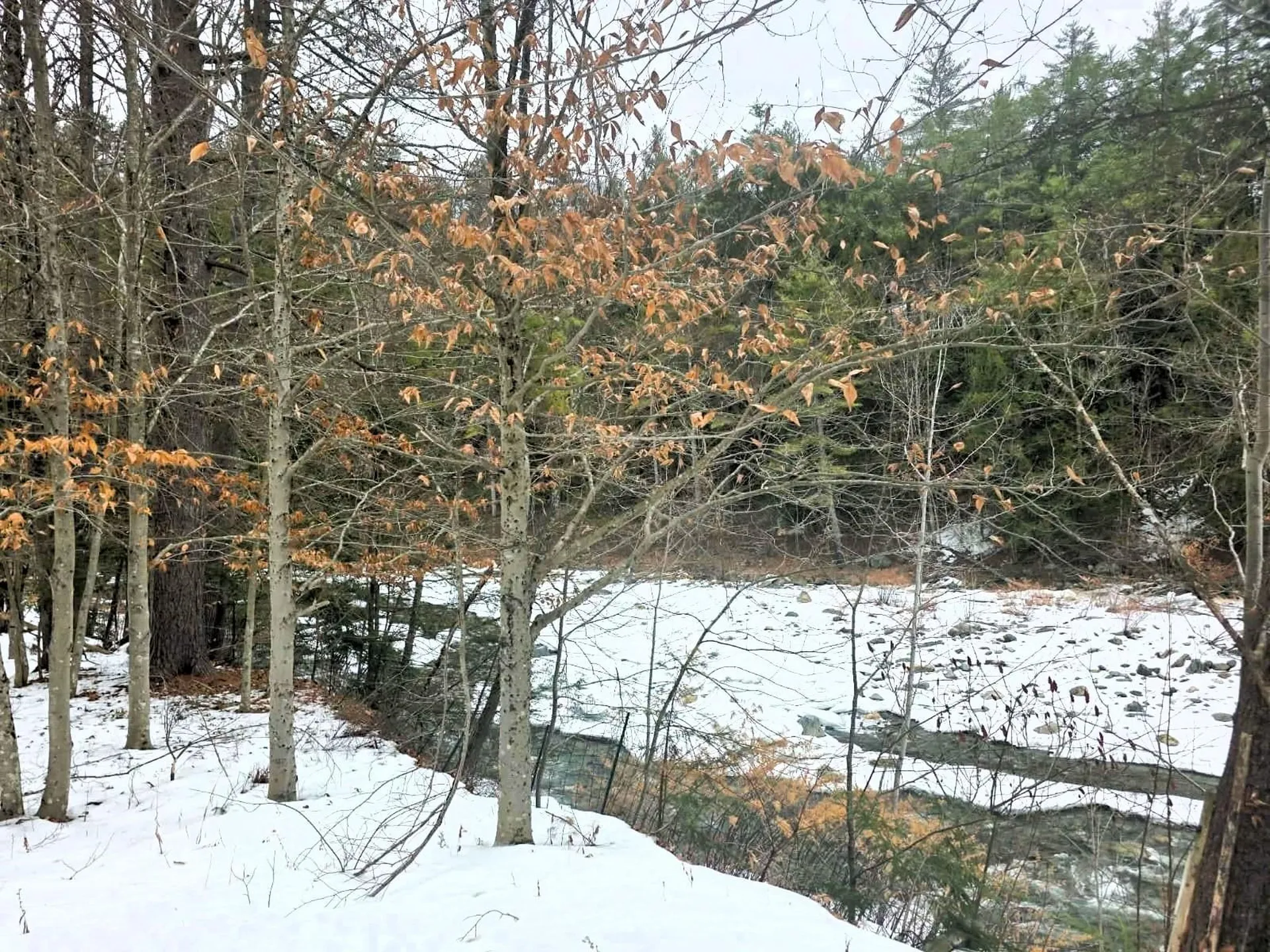 132 Duke Road Newfane VT 05362