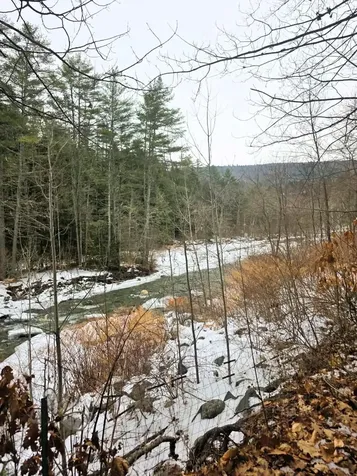 132 Duke Road Newfane VT 05362