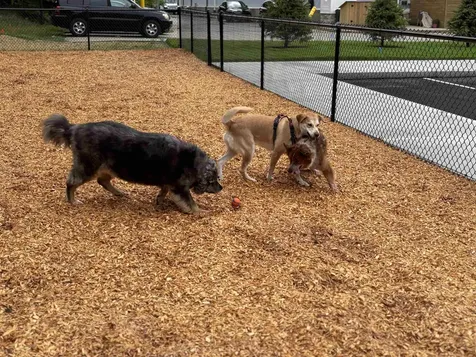 80 Constitution Avenue Portsmouth NH 03801