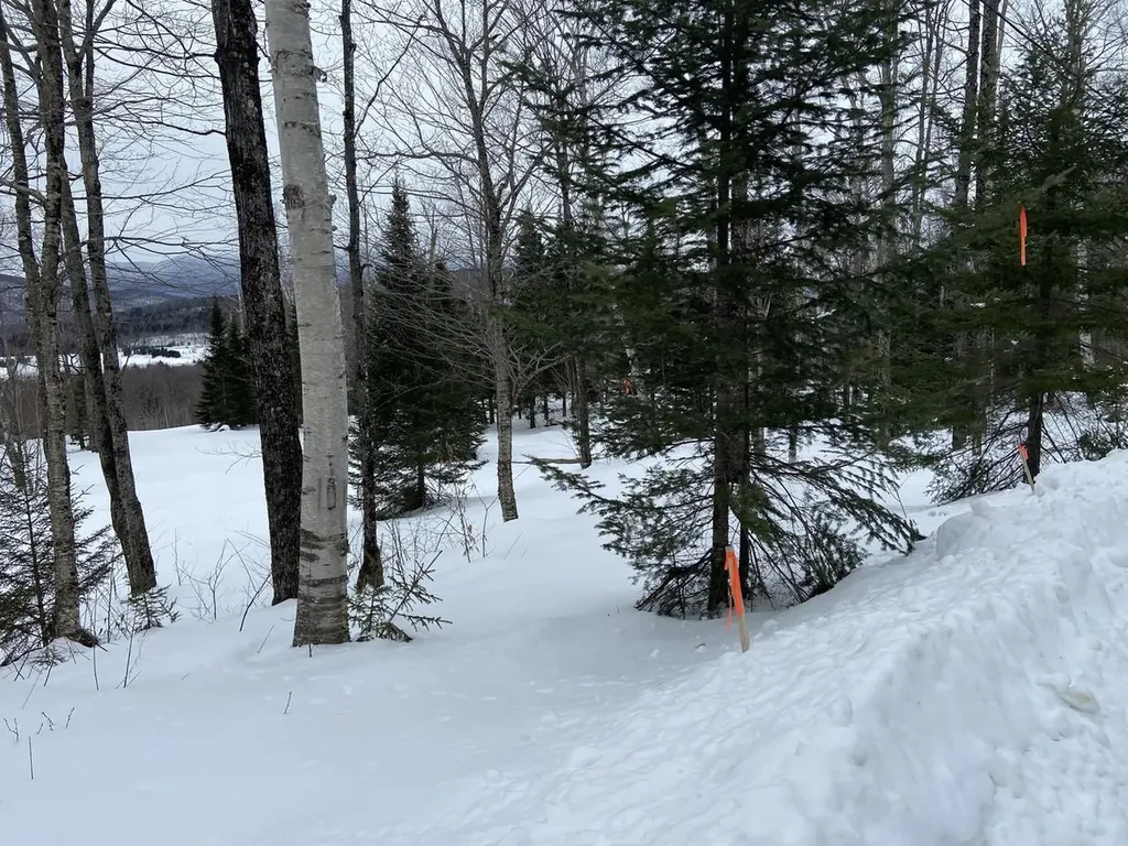 48 Alberts Lane Warren VT 05674