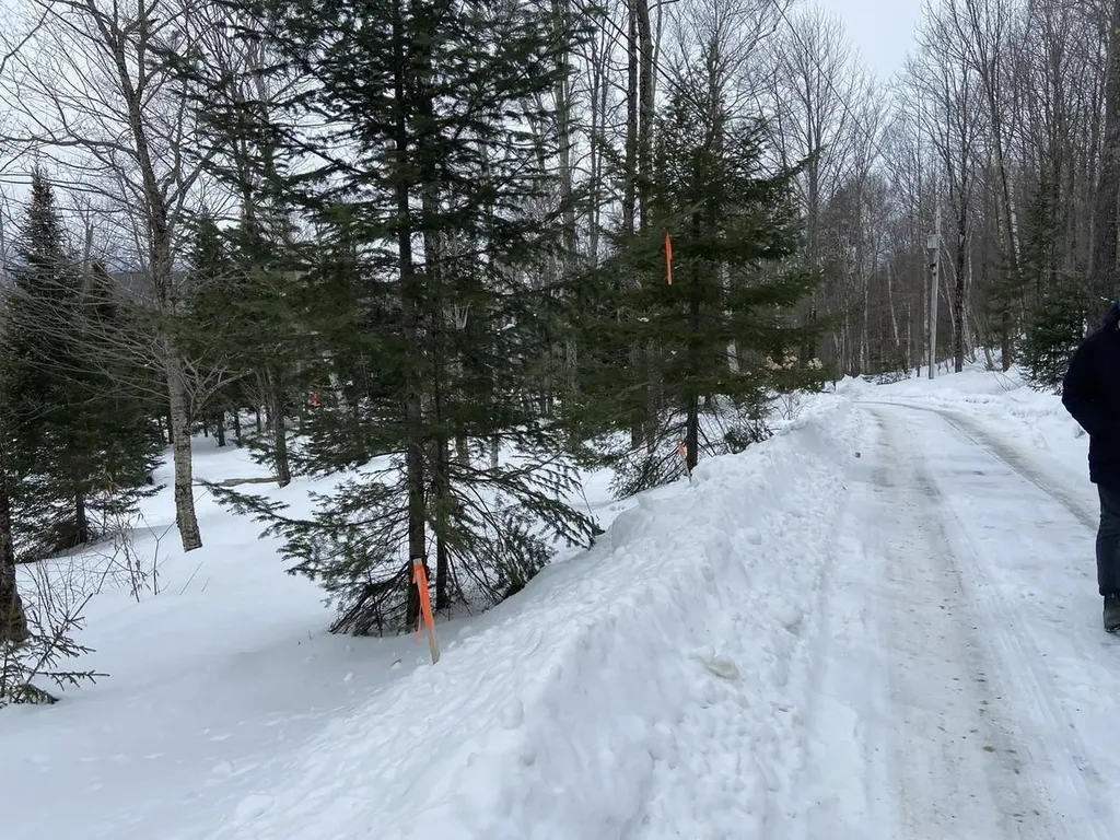 48 Alberts Lane Warren VT 05674