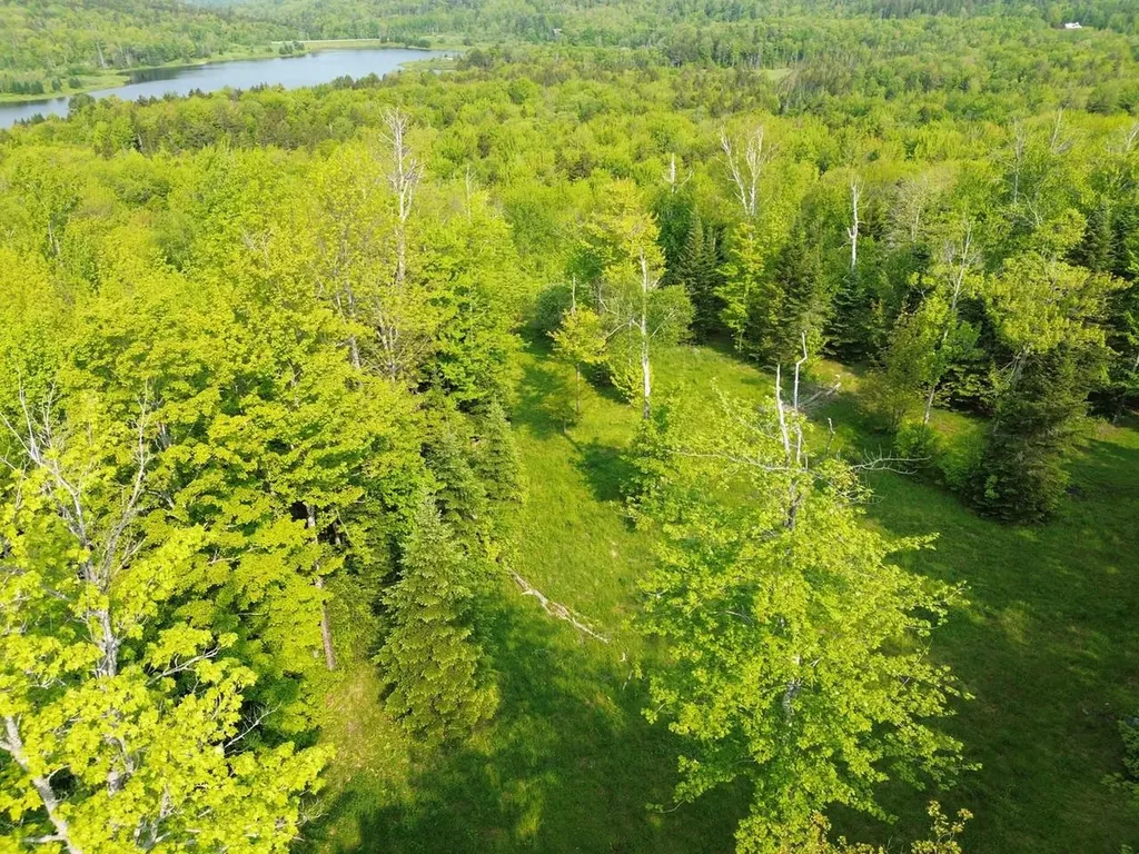 48 Alberts Lane Warren VT 05674