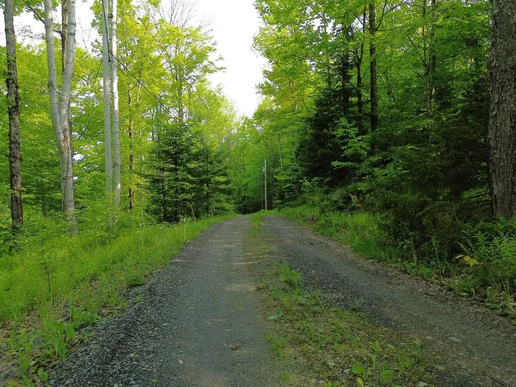 48 Alberts Lane Warren VT 05674